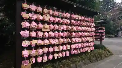 櫻木神社の絵馬