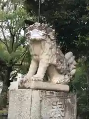 平塚八幡宮の狛犬