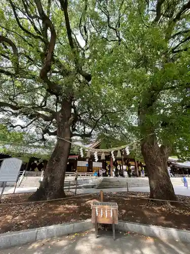 明治神宮(東京都)