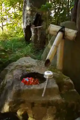 今熊野観音寺(京都府)