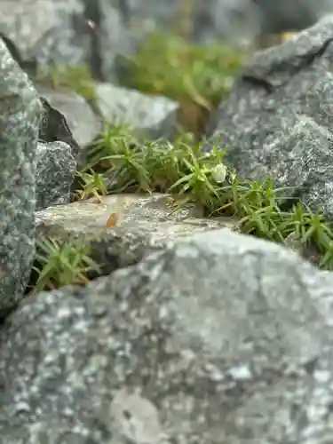 雄山神社峰本社の自然