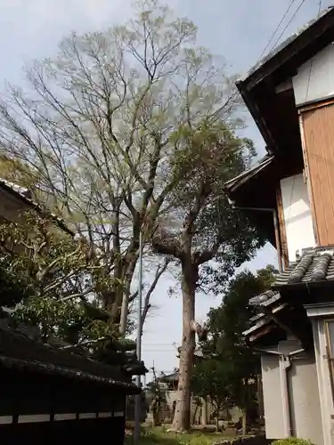 鏡作伊多神社のその他建物