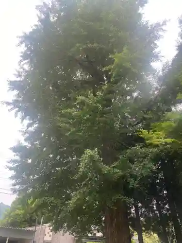 神門神社(兵庫県)