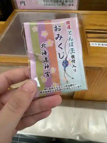 北海道神宮頓宮のおみくじ