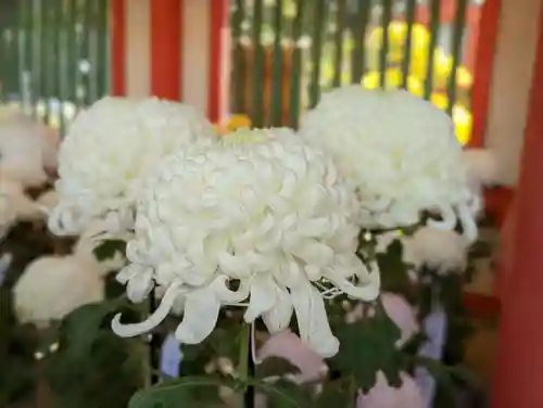 武蔵一宮氷川神社の自然