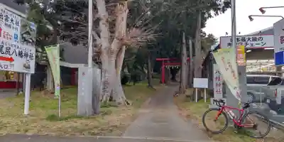 尾尻八幡神社(神奈川県)