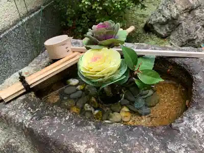 善長寺の手水舎