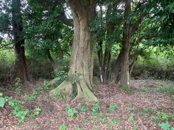 石神大明神(千葉県)