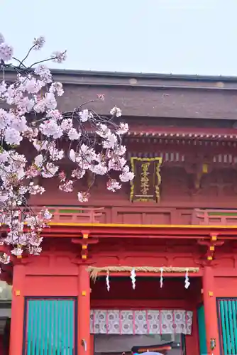 富士山本宮浅間大社(静岡県)