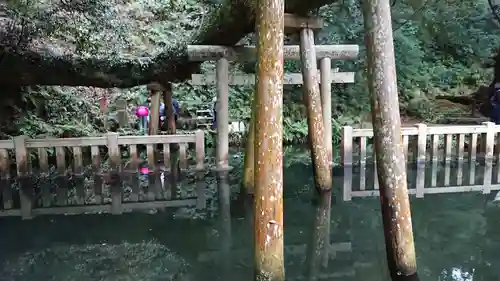 鹿島神宮の鳥居