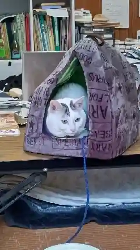 木山神社(岡山県)