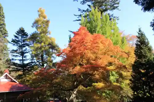 千手院の景色