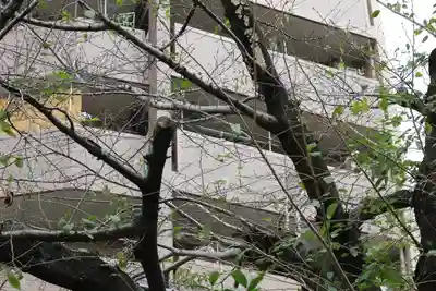 くまくま神社(導きの社 熊野町熊野神社)(東京都)