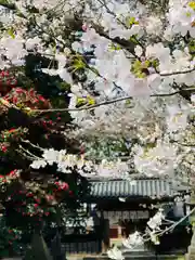 守りの神　藤基神社(新潟県)