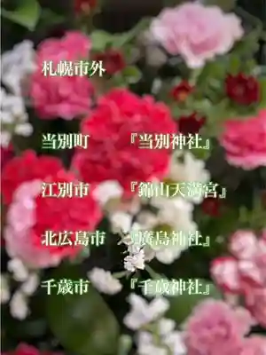 彌彦神社 (伊夜日子神社)の体験その他