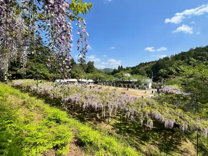 天台宗 五大山 白毫寺(兵庫県)