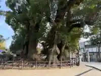 春日神社の{uncategorized: "未分類", other: "その他", undefined: "問題あり", building: "その他建物", grave: "お墓", sacred_gate: "鳥居", guardian: "狛犬", statue: "像", buddha: "仏像", history: "歴史", nature: "自然", garden: "庭園", animal: "動物", pagoda: "塔", temizu: "手水舎", mountain_gate: "山門・神門", sanctuary: "本殿・本堂", subordinate: "末社・摂社", art: "芸術", scenery: "景色", jizo: "地蔵", ema: "絵馬", goshuin: "御朱印", omikuji: "おみくじ", items: "授与品その他", amulet: "お守り", goshuincho: "御朱印帳", eats: "食事", festival: "お祭り", votive_dance: "神楽", shichigosan: "七五三参", wedding: "結婚式", experience: "体験その他", initially: "初詣", around: "周辺", anti_infection: "感染症対策"}