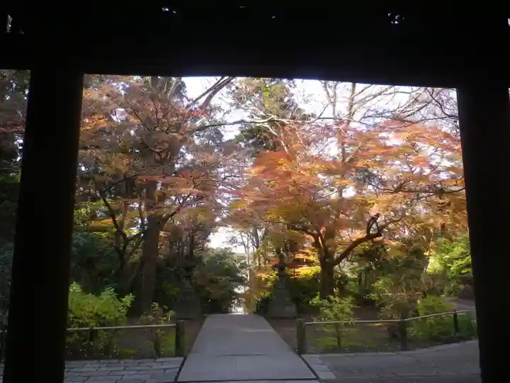 妙本寺のその他建物