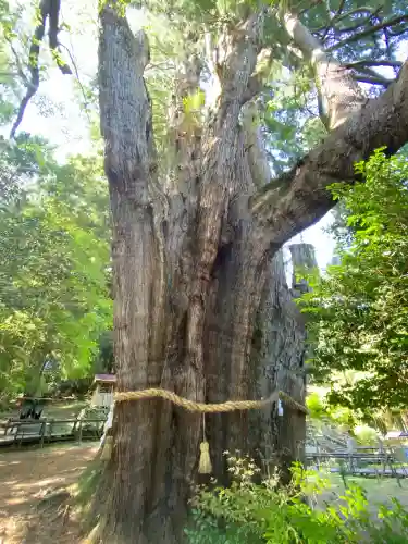 八坂神社(高知県)