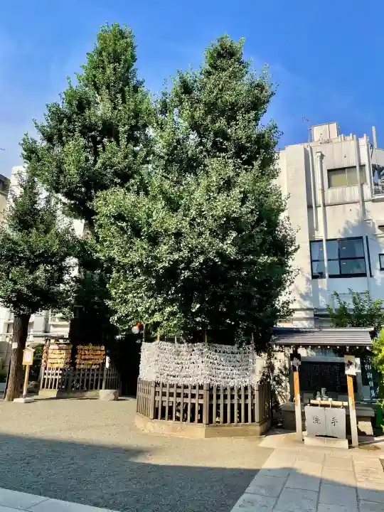 天祖神社(東京都)