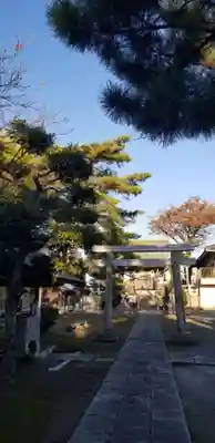 諏訪神社の鳥居