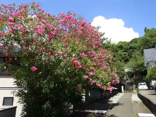 白山神社の自然