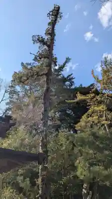 出羽神社の自然