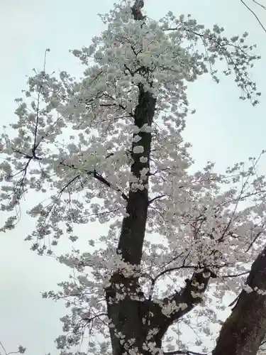 諏訪神社の庭園