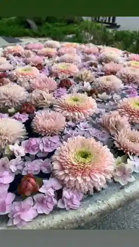 行田八幡神社の手水舎
