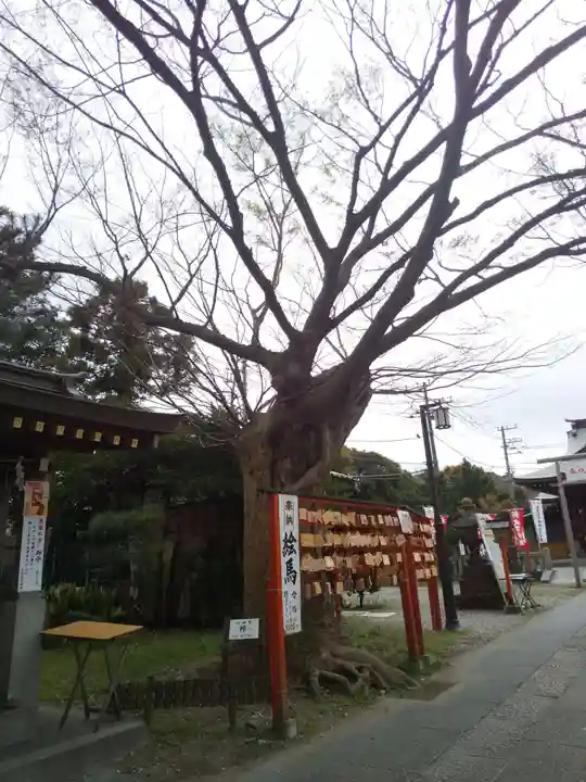 久里浜天神社の自然