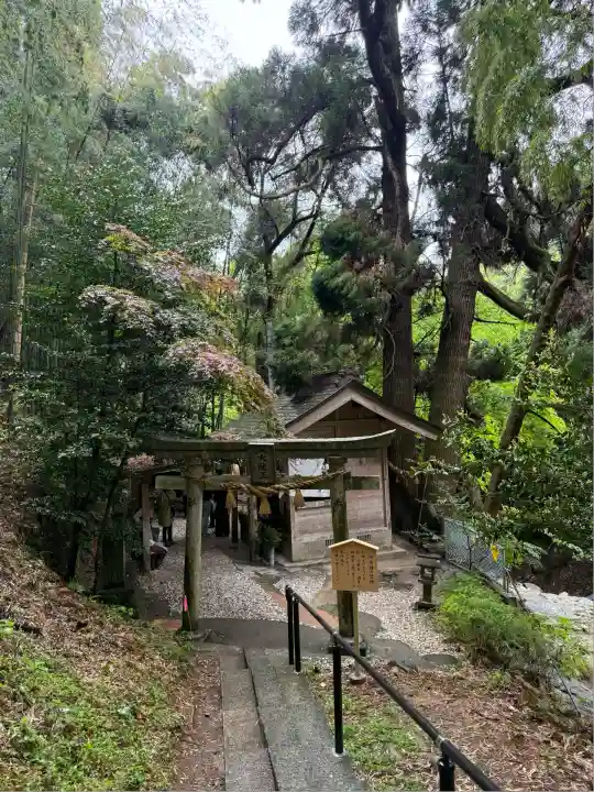神龍八大龍王神社(熊本県)