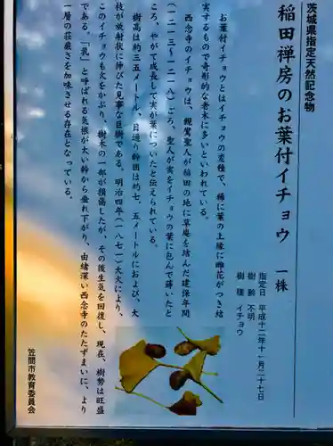 西念寺のその他建物