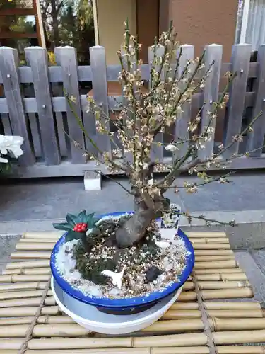 阿佐ヶ谷神明宮(東京都)