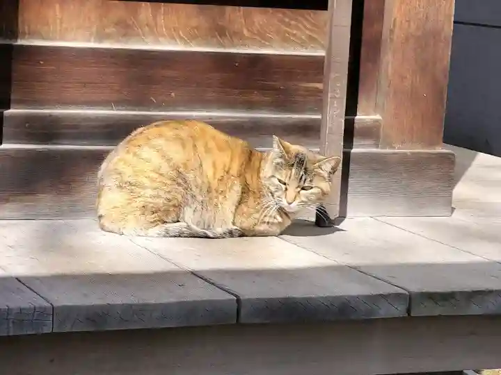 秋葉神社の{uncategorized: "未分類", other: "その他", undefined: "問題あり", building: "その他建物", grave: "お墓", sacred_gate: "鳥居", guardian: "狛犬", statue: "像", buddha: "仏像", history: "歴史", nature: "自然", garden: "庭園", animal: "動物", pagoda: "塔", temizu: "手水舎", mountain_gate: "山門・神門", sanctuary: "本殿・本堂", subordinate: "末社・摂社", art: "芸術", scenery: "景色", jizo: "地蔵", ema: "絵馬", goshuin: "御朱印", omikuji: "おみくじ", items: "授与品その他", amulet: "お守り", goshuincho: "御朱印帳", eats: "食事", festival: "お祭り", votive_dance: "神楽", shichigosan: "七五三参", wedding: "結婚式", experience: "体験その他", initially: "初詣", around: "周辺", anti_infection: "感染症対策"}