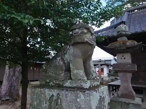 橘神社の狛犬