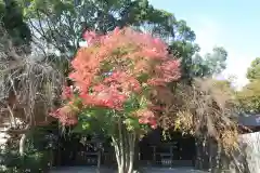 伊勢山皇大神宮の自然