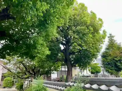 宗林寺(東京都)