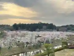 常磐神社の景色