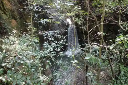 意賀美神社の自然