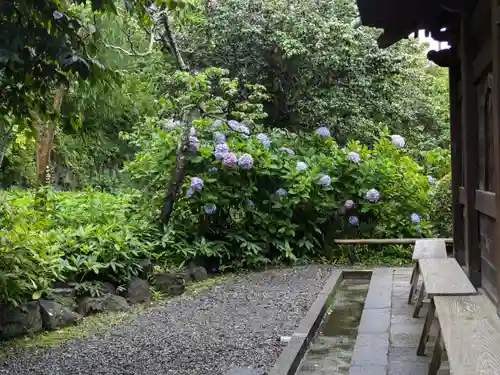 英勝寺(神奈川県)