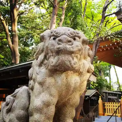 小金井神社の狛犬