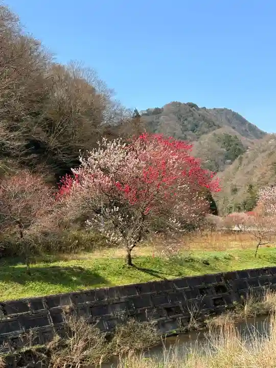 折居神社の{uncategorized: "未分類", other: "その他", undefined: "問題あり", building: "その他建物", grave: "お墓", sacred_gate: "鳥居", guardian: "狛犬", statue: "像", buddha: "仏像", history: "歴史", nature: "自然", garden: "庭園", animal: "動物", pagoda: "塔", temizu: "手水舎", mountain_gate: "山門・神門", sanctuary: "本殿・本堂", subordinate: "末社・摂社", art: "芸術", scenery: "景色", jizo: "地蔵", ema: "絵馬", goshuin: "御朱印", omikuji: "おみくじ", items: "授与品その他", amulet: "お守り", goshuincho: "御朱印帳", eats: "食事", festival: "お祭り", votive_dance: "神楽", shichigosan: "七五三参", wedding: "結婚式", experience: "体験その他", initially: "初詣", around: "周辺", anti_infection: "感染症対策"}