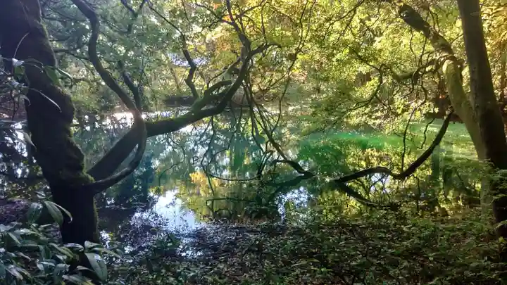 丸池神社(山形県)