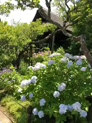東慶寺のその他建物