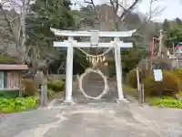 新山神社の{uncategorized: "未分類", other: "その他", undefined: "問題あり", building: "その他建物", grave: "お墓", sacred_gate: "鳥居", guardian: "狛犬", statue: "像", buddha: "仏像", history: "歴史", nature: "自然", garden: "庭園", animal: "動物", pagoda: "塔", temizu: "手水舎", mountain_gate: "山門・神門", sanctuary: "本殿・本堂", subordinate: "末社・摂社", art: "芸術", scenery: "景色", jizo: "地蔵", ema: "絵馬", goshuin: "御朱印", omikuji: "おみくじ", items: "授与品その他", amulet: "お守り", goshuincho: "御朱印帳", eats: "食事", festival: "お祭り", votive_dance: "神楽", shichigosan: "七五三参", wedding: "結婚式", experience: "体験その他", initially: "初詣", around: "周辺", anti_infection: "感染症対策"}