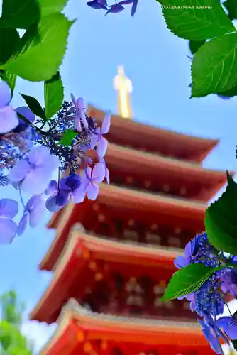 高幡不動尊　金剛寺(東京都)