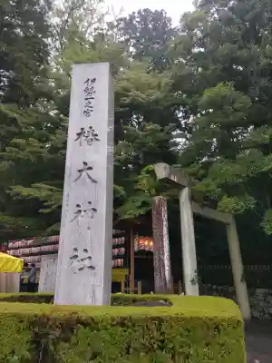 椿大神社の{uncategorized: "未分類", other: "その他", undefined: "問題あり", building: "その他建物", grave: "お墓", sacred_gate: "鳥居", guardian: "狛犬", statue: "像", buddha: "仏像", history: "歴史", nature: "自然", garden: "庭園", animal: "動物", pagoda: "塔", temizu: "手水舎", mountain_gate: "山門・神門", sanctuary: "本殿・本堂", subordinate: "末社・摂社", art: "芸術", scenery: "景色", jizo: "地蔵", ema: "絵馬", goshuin: "御朱印", omikuji: "おみくじ", items: "授与品その他", amulet: "お守り", goshuincho: "御朱印帳", eats: "食事", festival: "お祭り", votive_dance: "神楽", shichigosan: "七五三参", wedding: "結婚式", experience: "体験その他", initially: "初詣", around: "周辺", anti_infection: "感染症対策"}