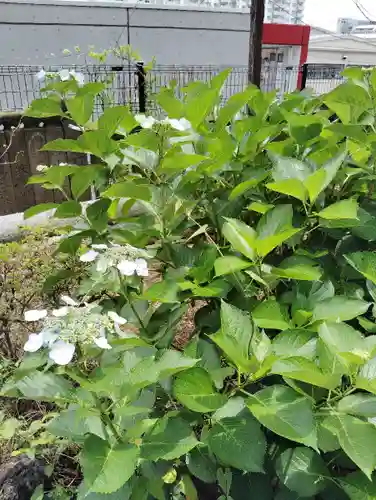 東山稲荷神社(東京都)
