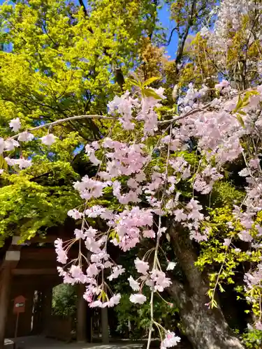 熱田神宮の自然