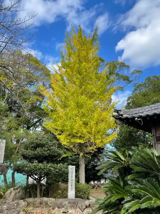 六社神社(福岡県)